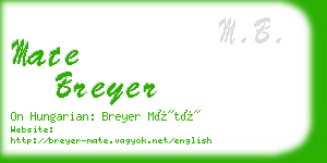 mate breyer business card